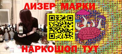 mdpv Гатчина