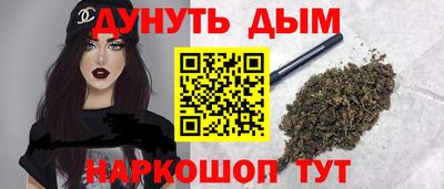 mdpv Гатчина