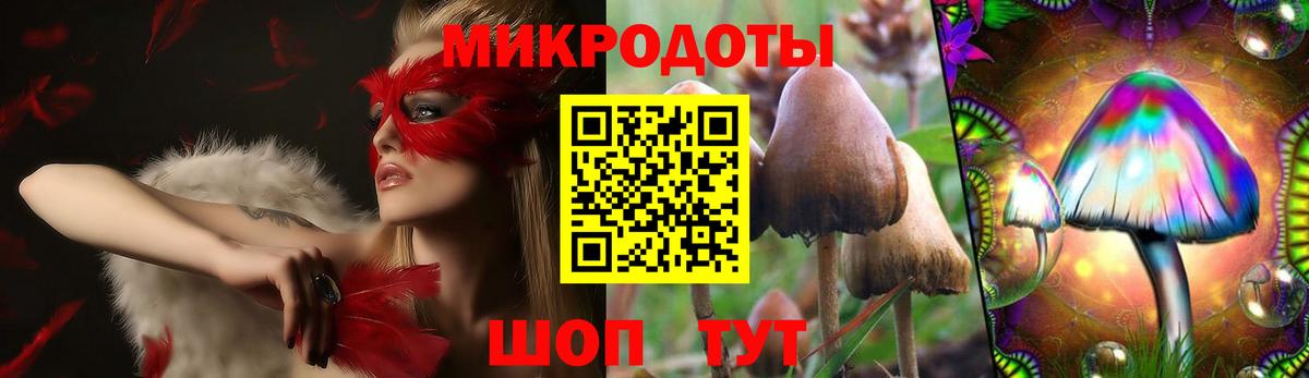 Галлюциногенные грибы Magic Shrooms  Вход с VPN  Камышлов  Галлюциногенные грибы ЛСД 